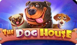 BankonBet offre il gioco online The Dog House